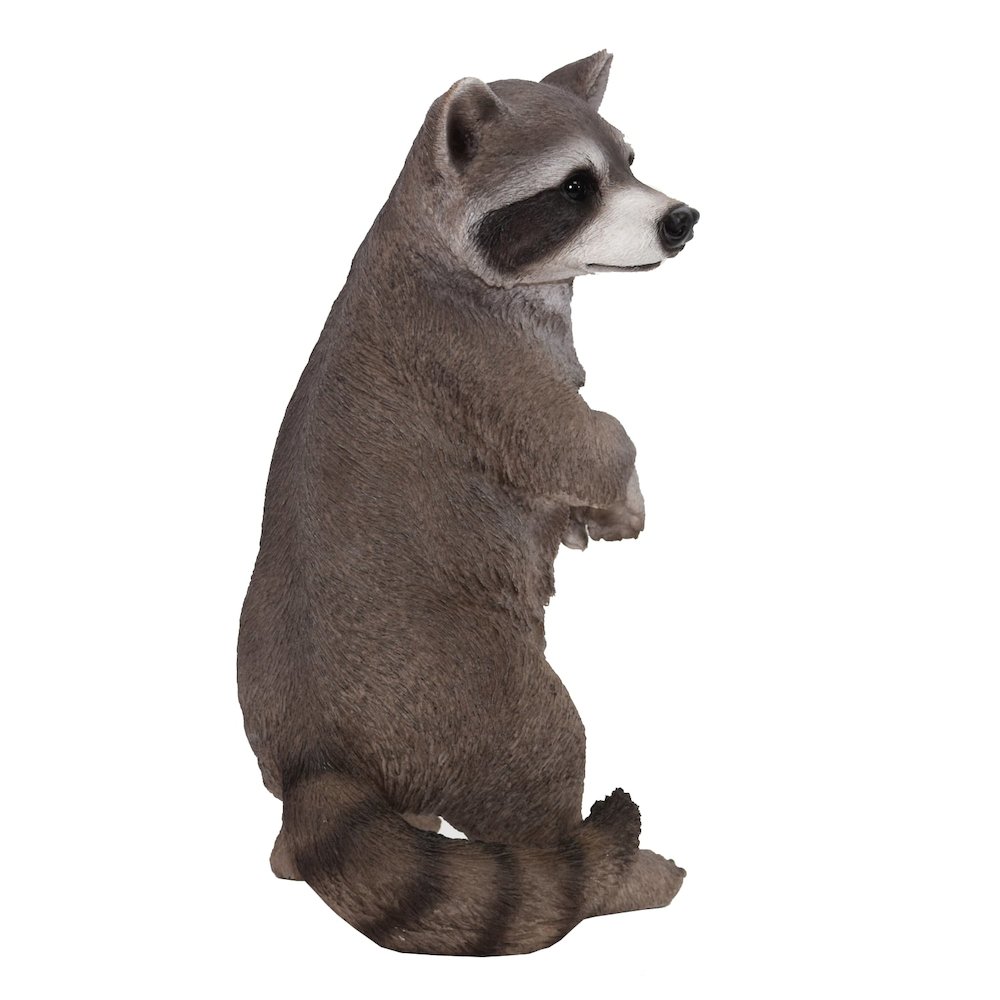 Standing Raccoon Statue. Picture 5