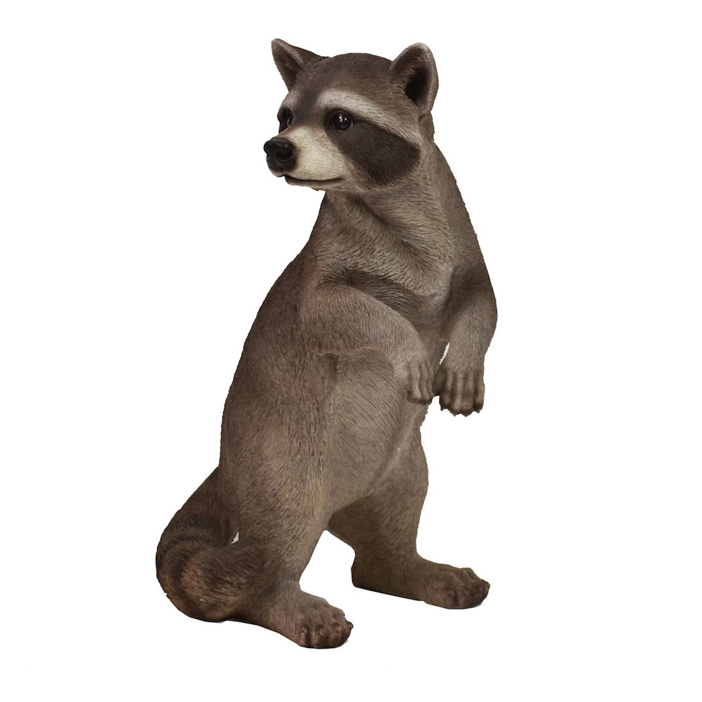 Standing Raccoon Statue. Picture 3