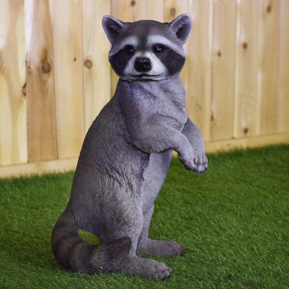 Standing Raccoon Statue. Picture 2