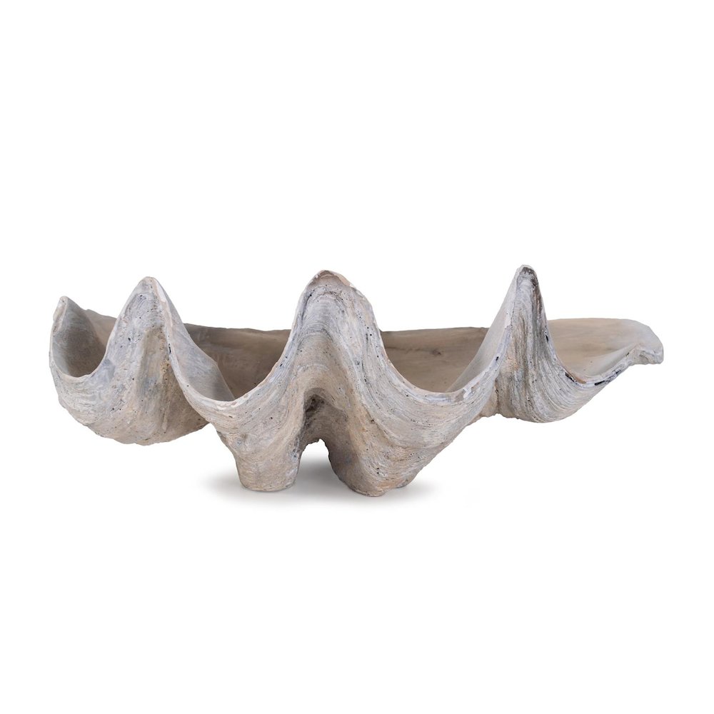 Large Vongole. Picture 1