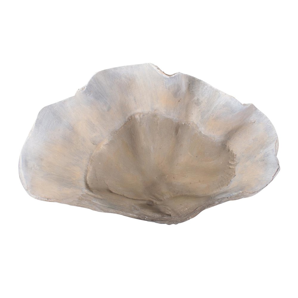 Large Vongole. Picture 4