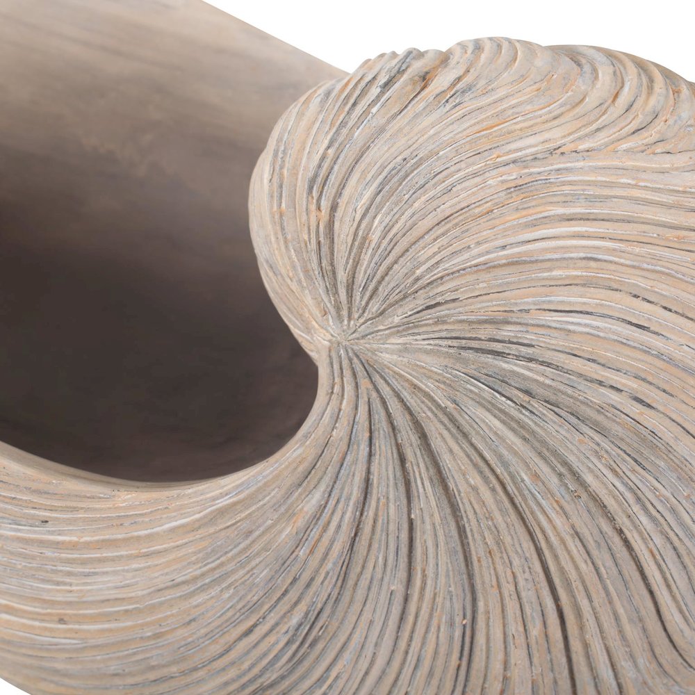 Nautilus Shell. Picture 5