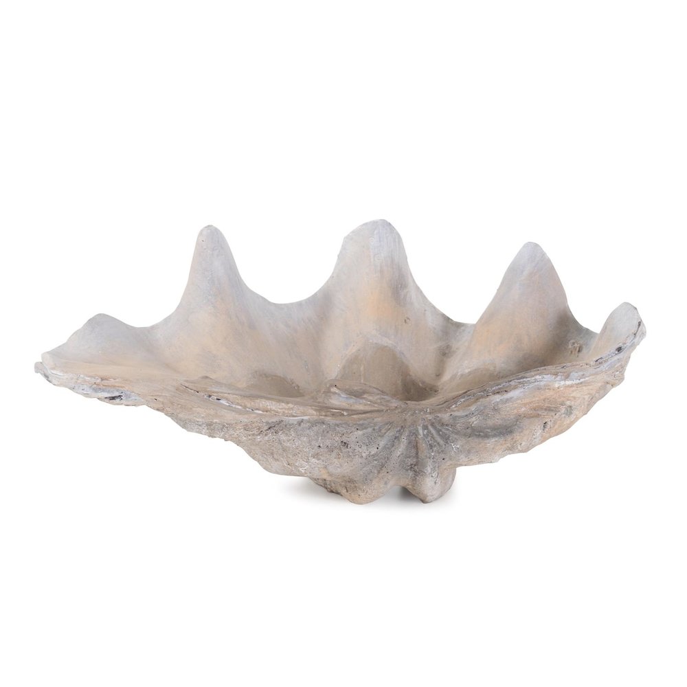Large Vongole. Picture 8