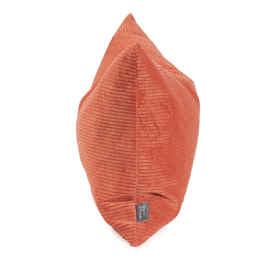 Pillow 14 x 22 Pana Terra - Down Insert. Picture 3