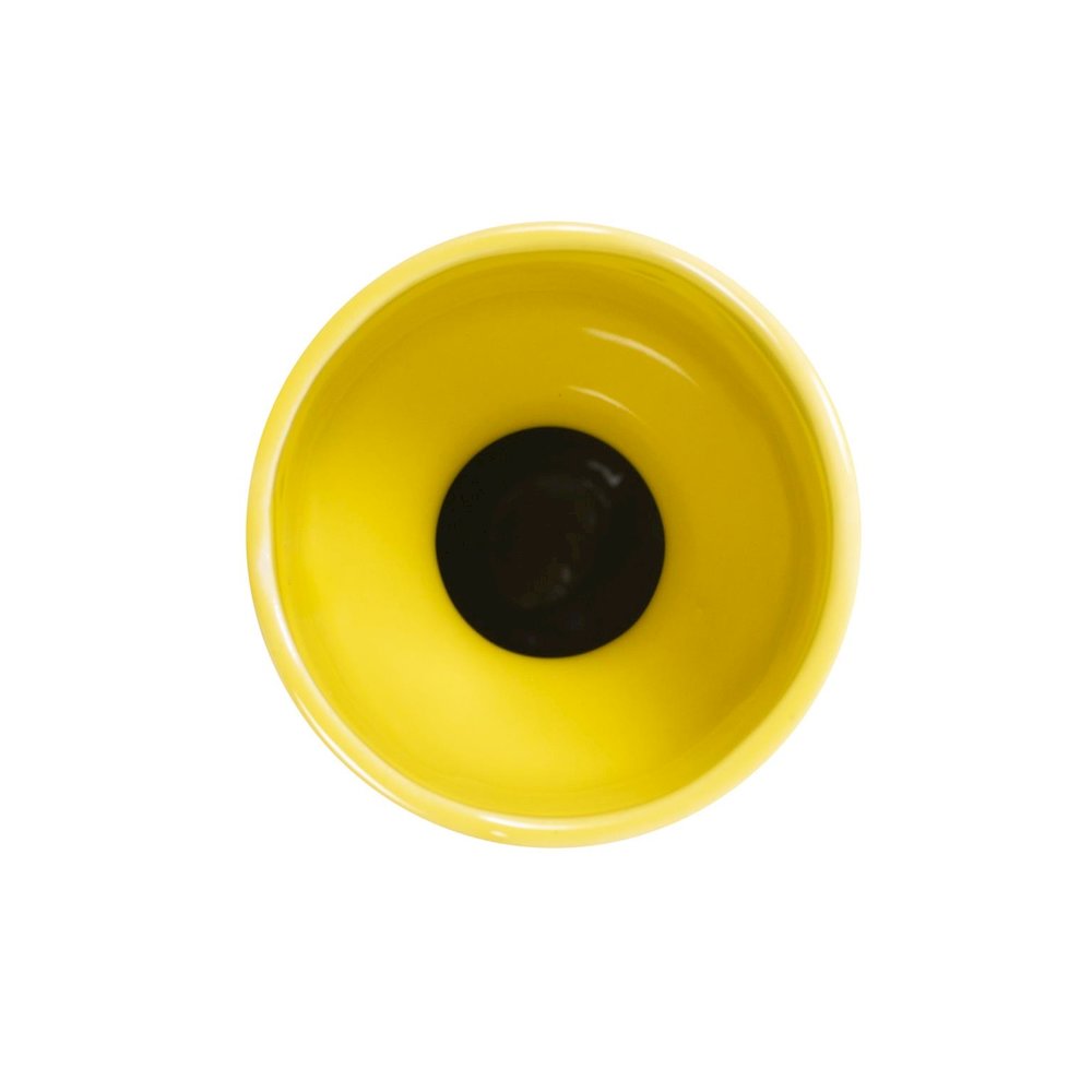 Holland Daffodil Short Vase. Picture 4