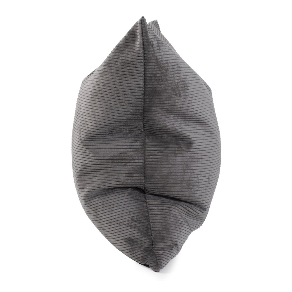Pillow 24 x 24 Pana Charcoal - Down Insert. Picture 4