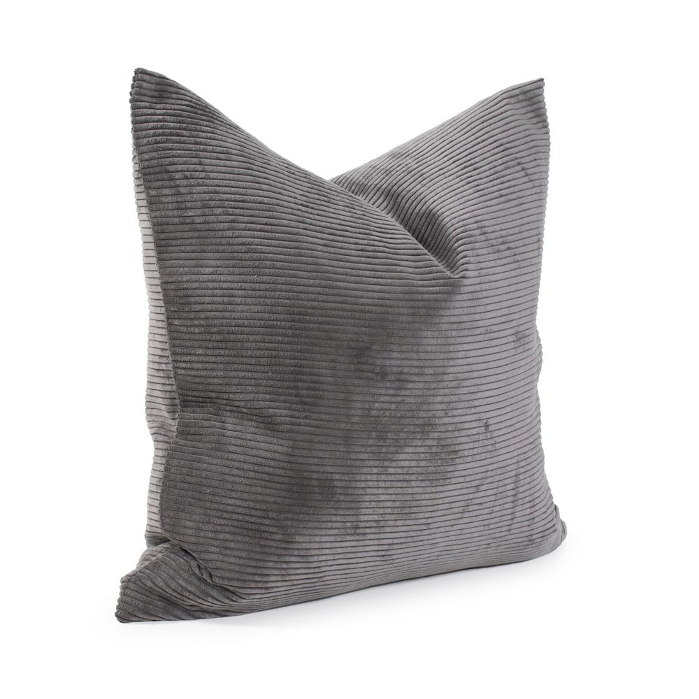 Pillow 20 x 20 Pana Charcoal - Down Insert. Picture 5