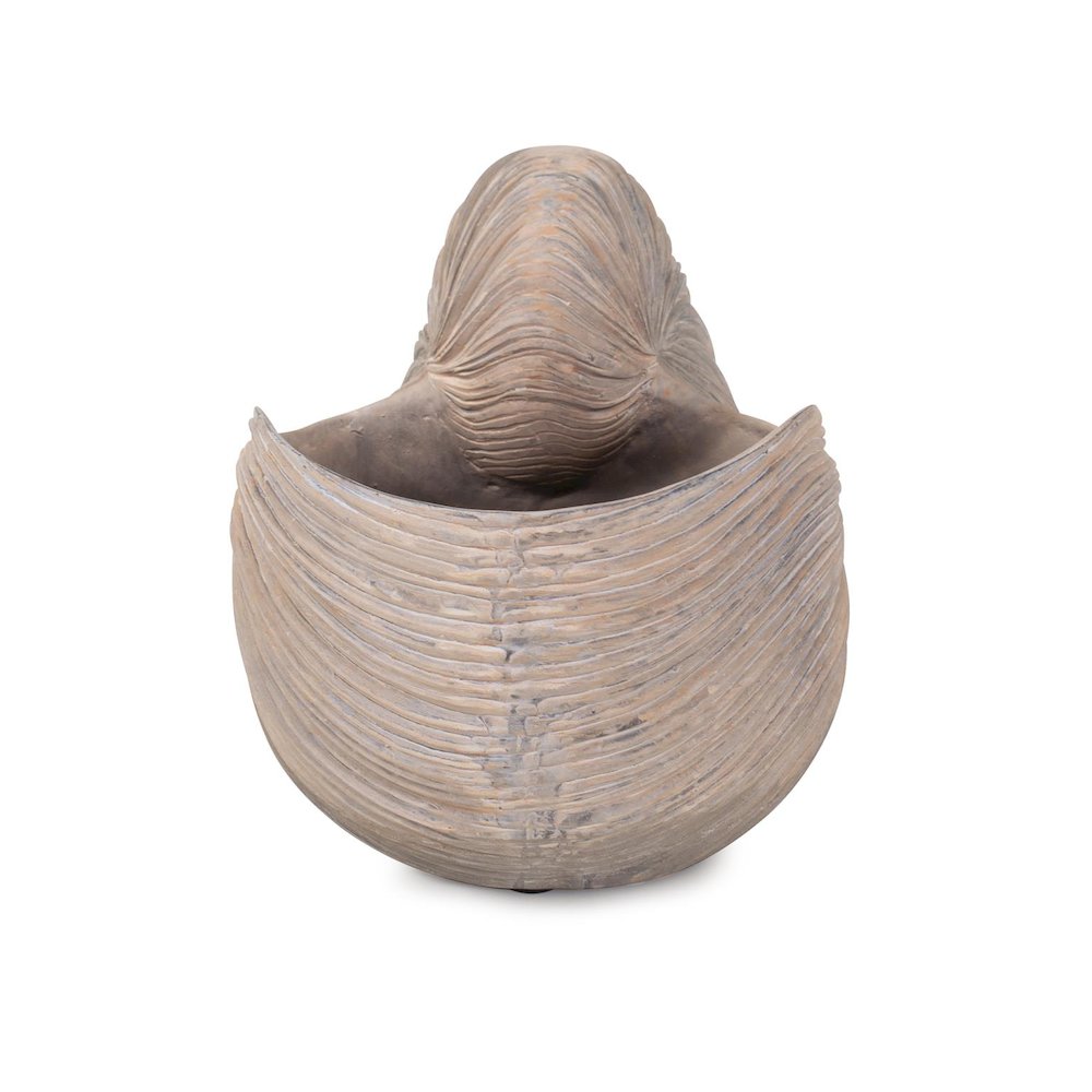 Nautilus Shell. Picture 2