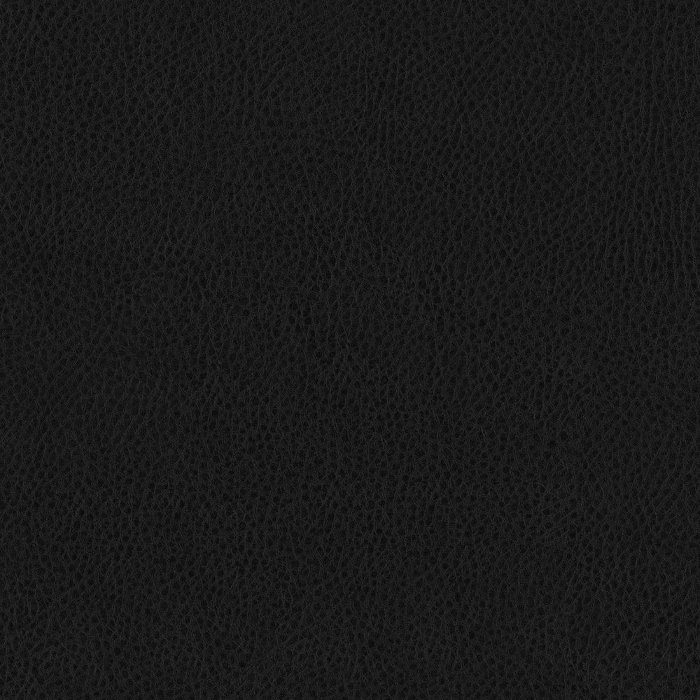 24 x 24 Avanti Black Pillow. Picture 2