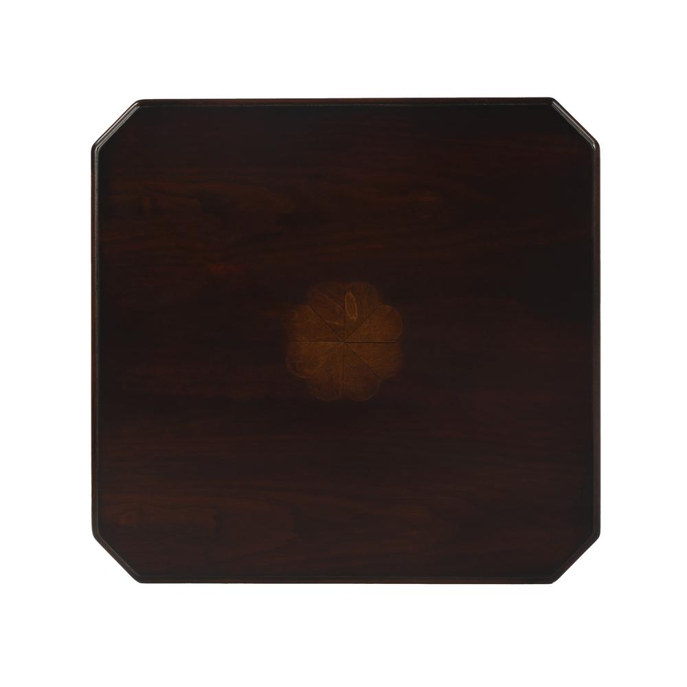 Moyer Side Table with Storage, Dark Brown. Picture 8