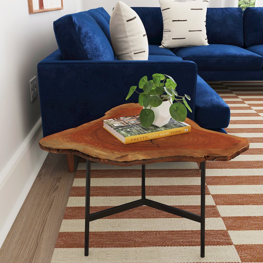 Ipswich Live Edge Side Table, Multi-Color. Picture 2