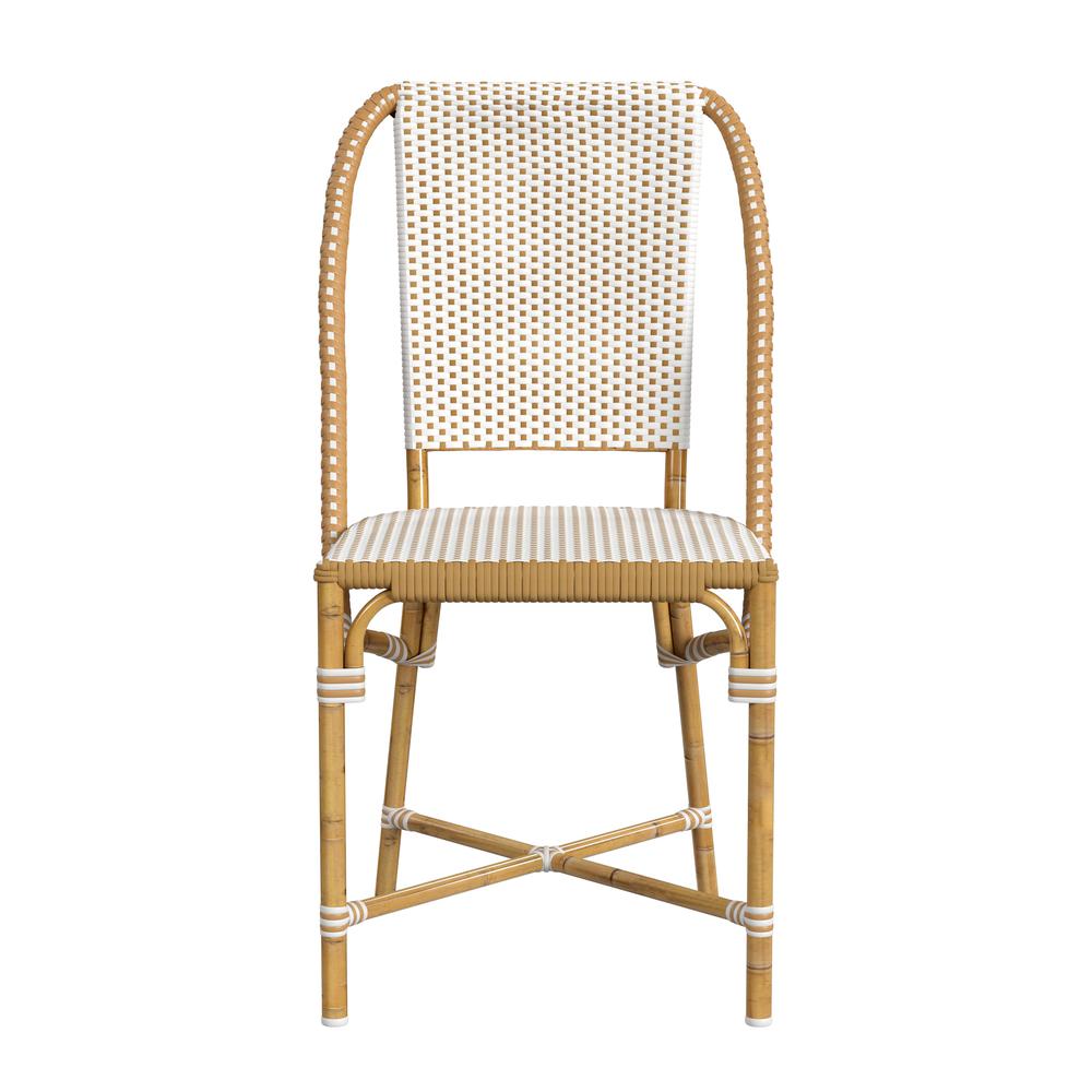 Tobias 18.5 in. Seat Height Outdoor Rattan and Metal  Dining Side Chair. Picture 2