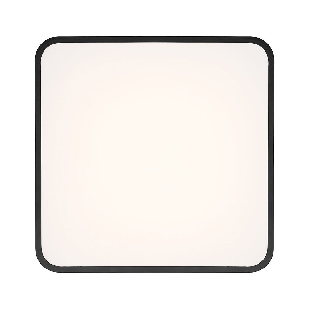 LED Flush Mount. Picture 2