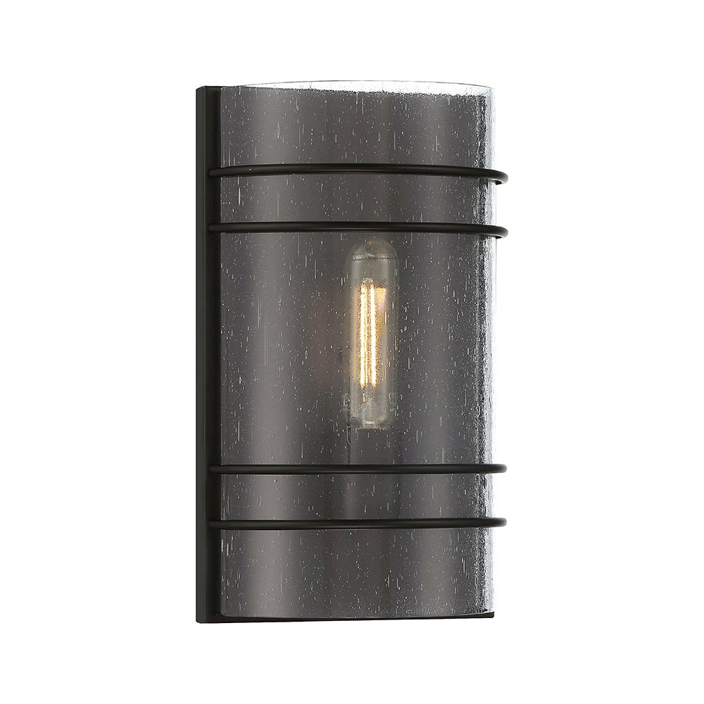1 Light LED Wall Sconce. Picture 1