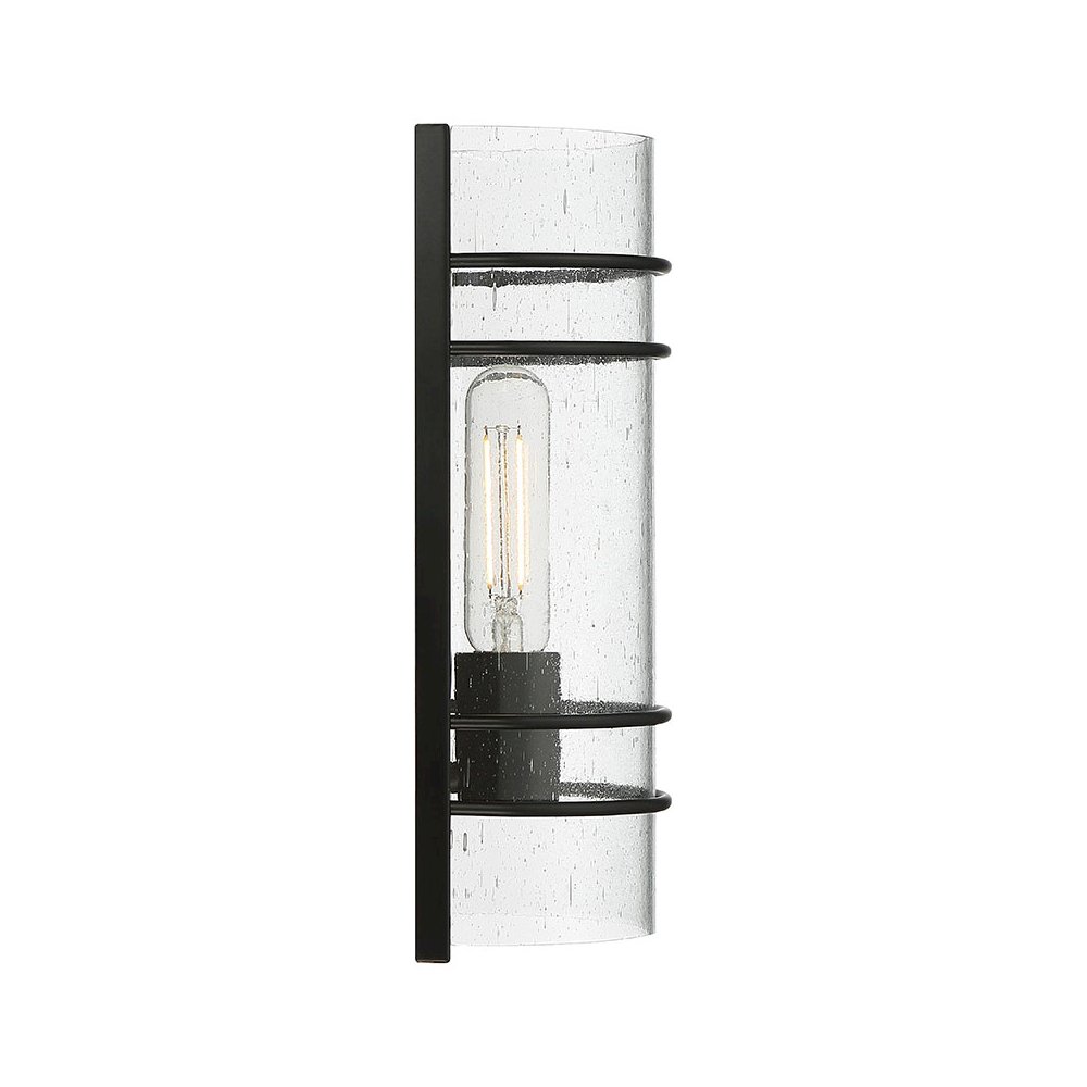 1 Light LED Wall Sconce. Picture 3