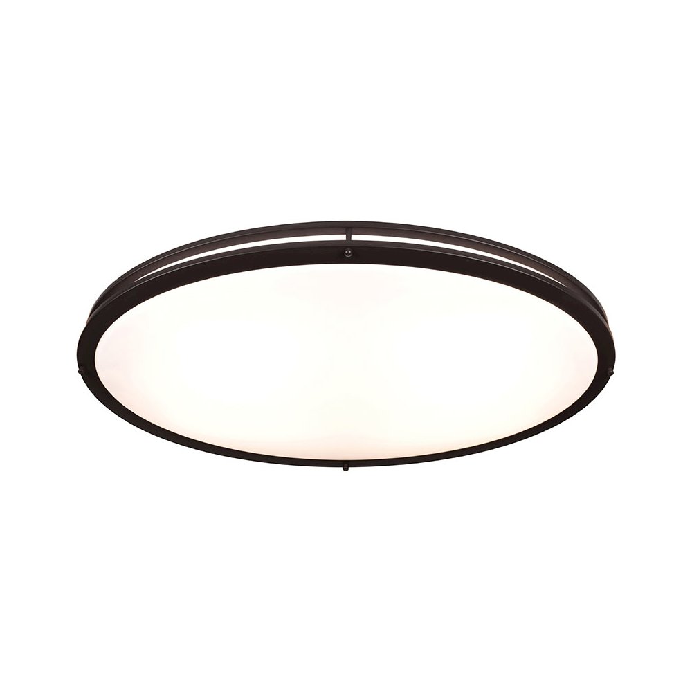 LED Flush Mount. Picture 1