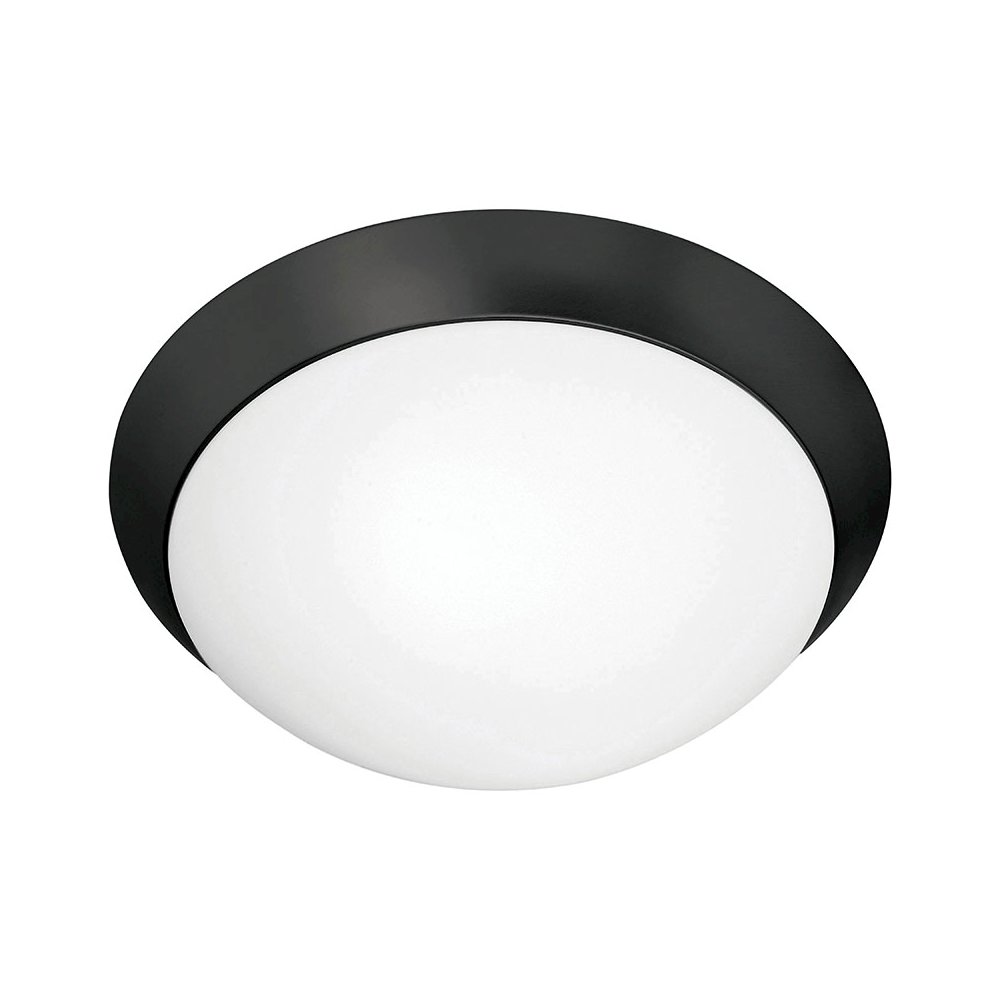 Flush Mount in Matte Black Color. Picture 1