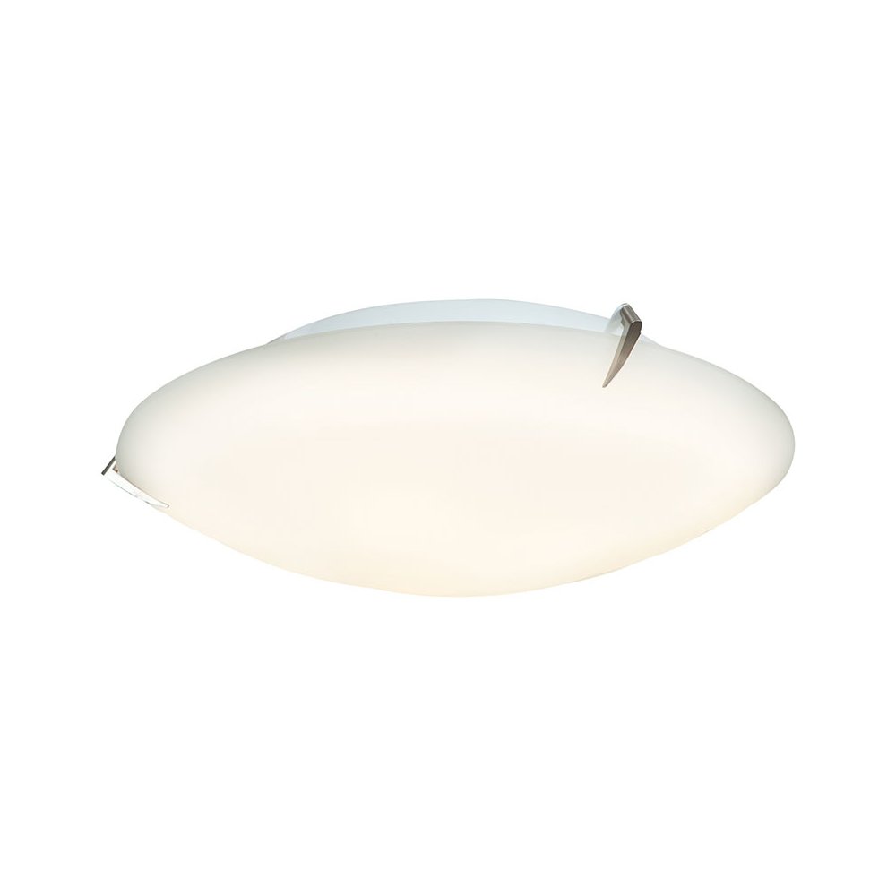 Flush Mount in Brushed Steel Color. Picture 1