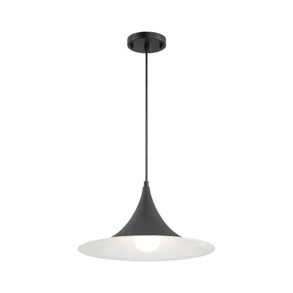 LED Pendant in Matte Black Color. Picture 1