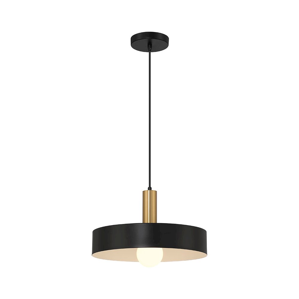1 Light Pendant in Black with Antique Brushed Brass Color. Picture 1