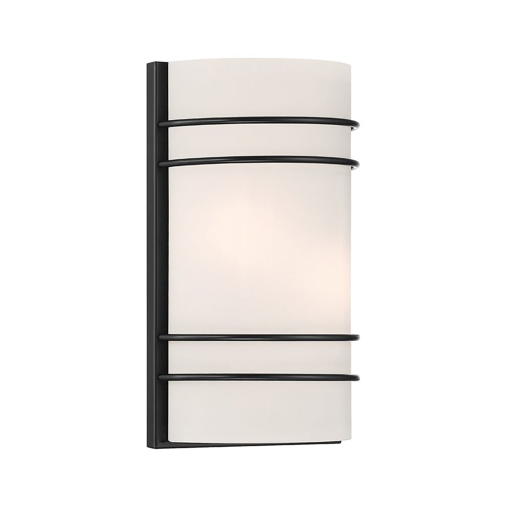 2 Light LED Wall Sconce. Picture 1