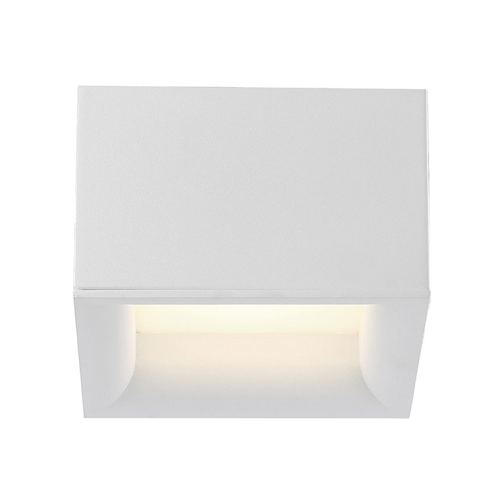 Dual Voltage LED Flush Mount. Picture 6