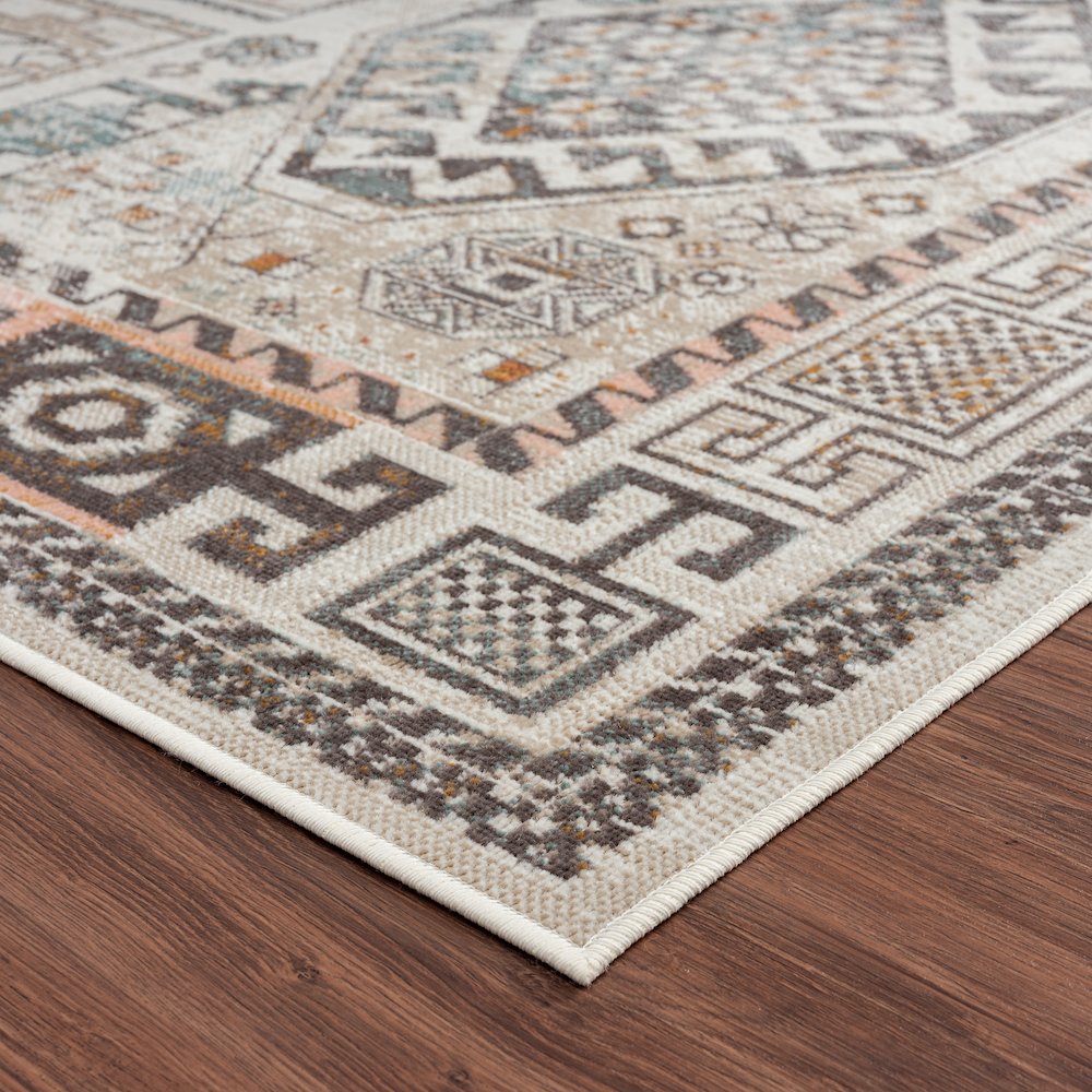 Antiquity Durable Performance Area Rug Outdoor in Cream/Pink, 7'9" x 9'9". Picture 5