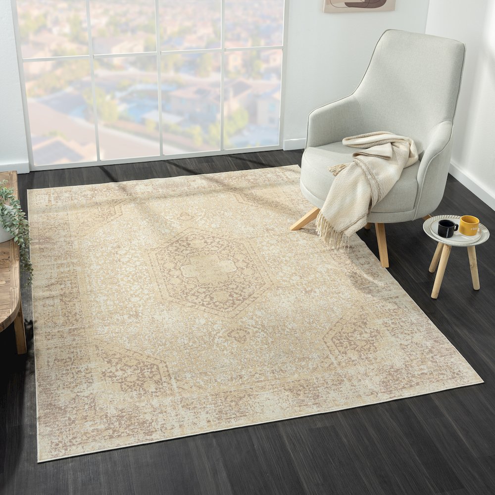 Aria Durable Performance Area Rug Indoor in Beige, 2'8" x 3'10". Picture 8