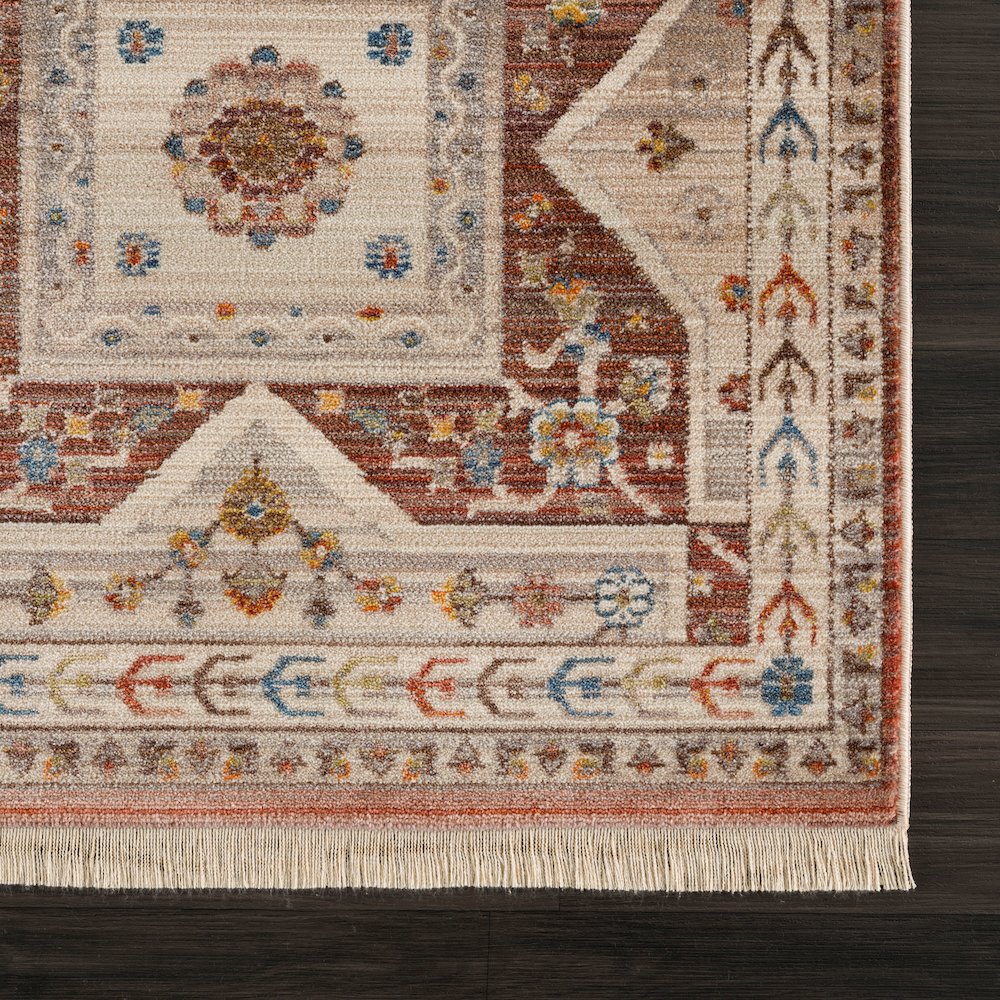 Holi Durable Performance Area Rug Indoor in Red/Ivory, 7'9" x 10'. Picture 6