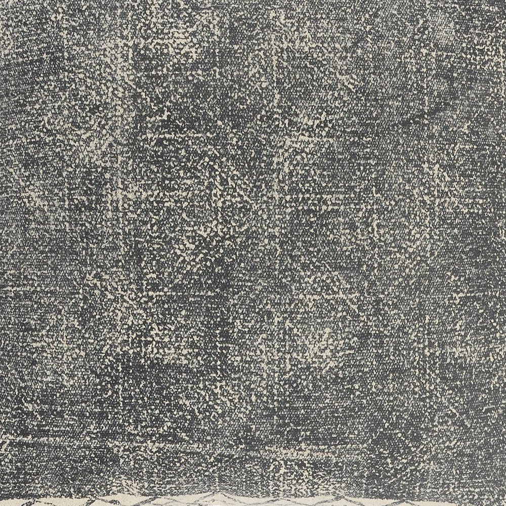 Bordered Modern Rustic Throw Pillow. Picture 6