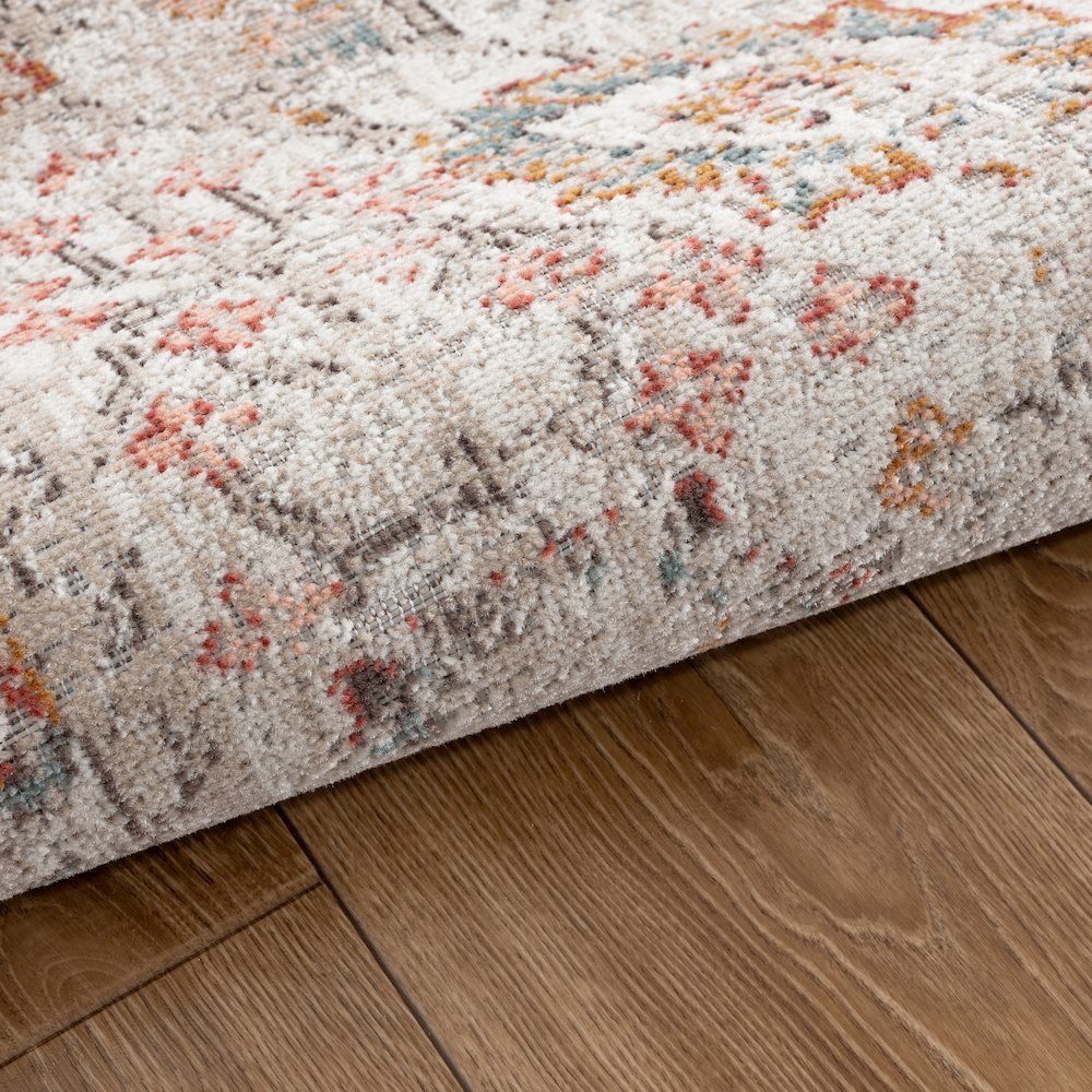 Antiquity Durable Performance Area Rug Outdoor in Ivory/Multicolored, 9' x 12'. Picture 3