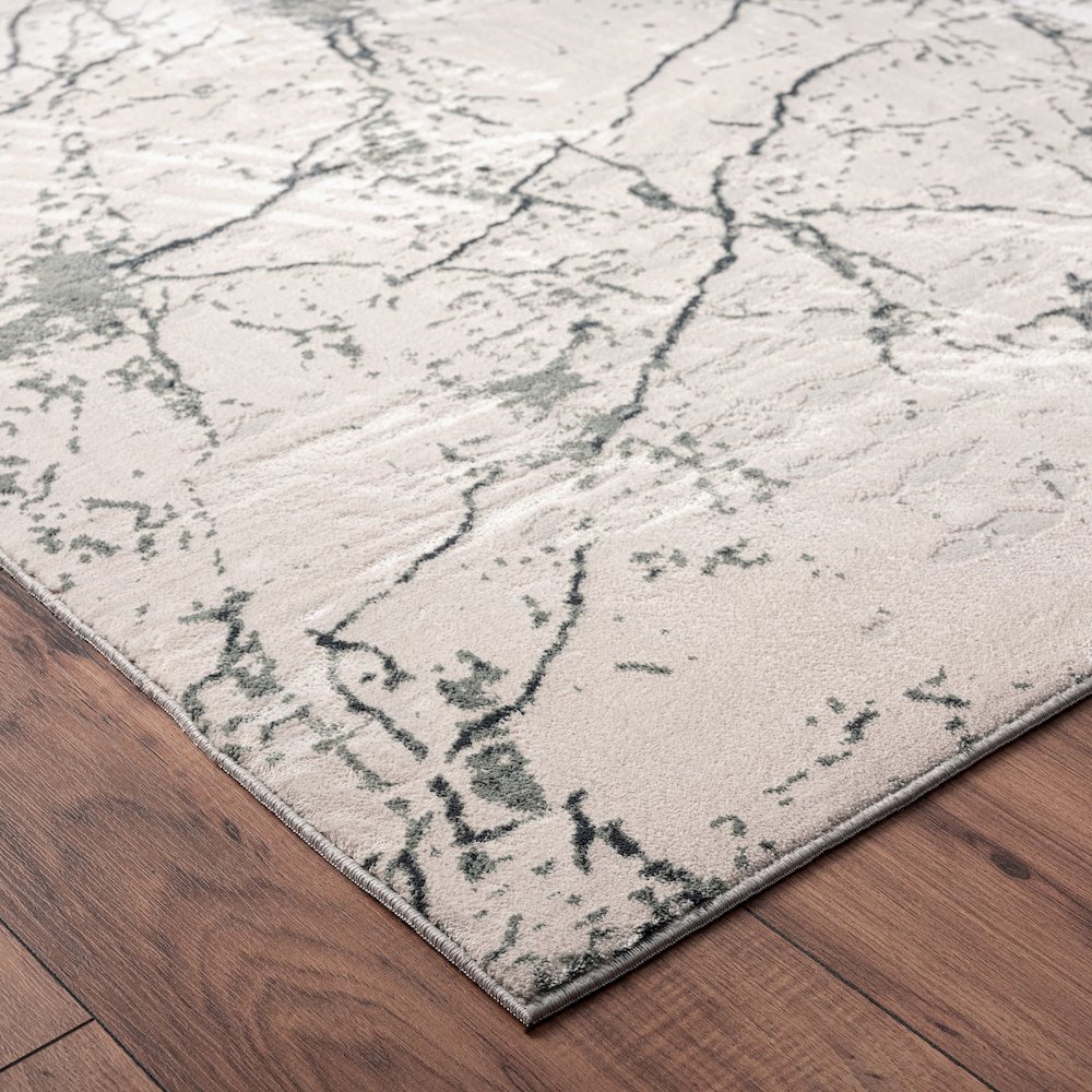 Imagine Durable Performance Area Rug Indoor in Ivory/Gray, 1'10" x 3'. Picture 3
