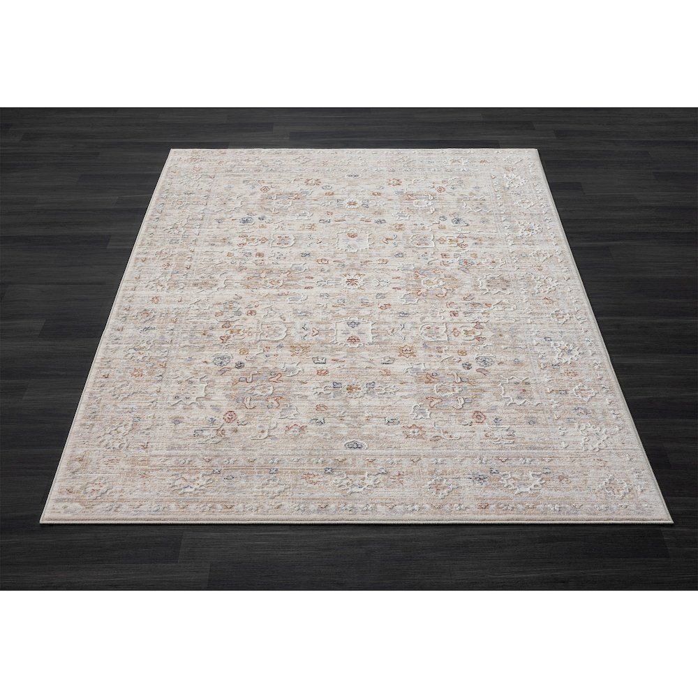 Lancaster Performance Blend Area Rug Indoor in Beige/Red, 4' X 6'. Picture 8