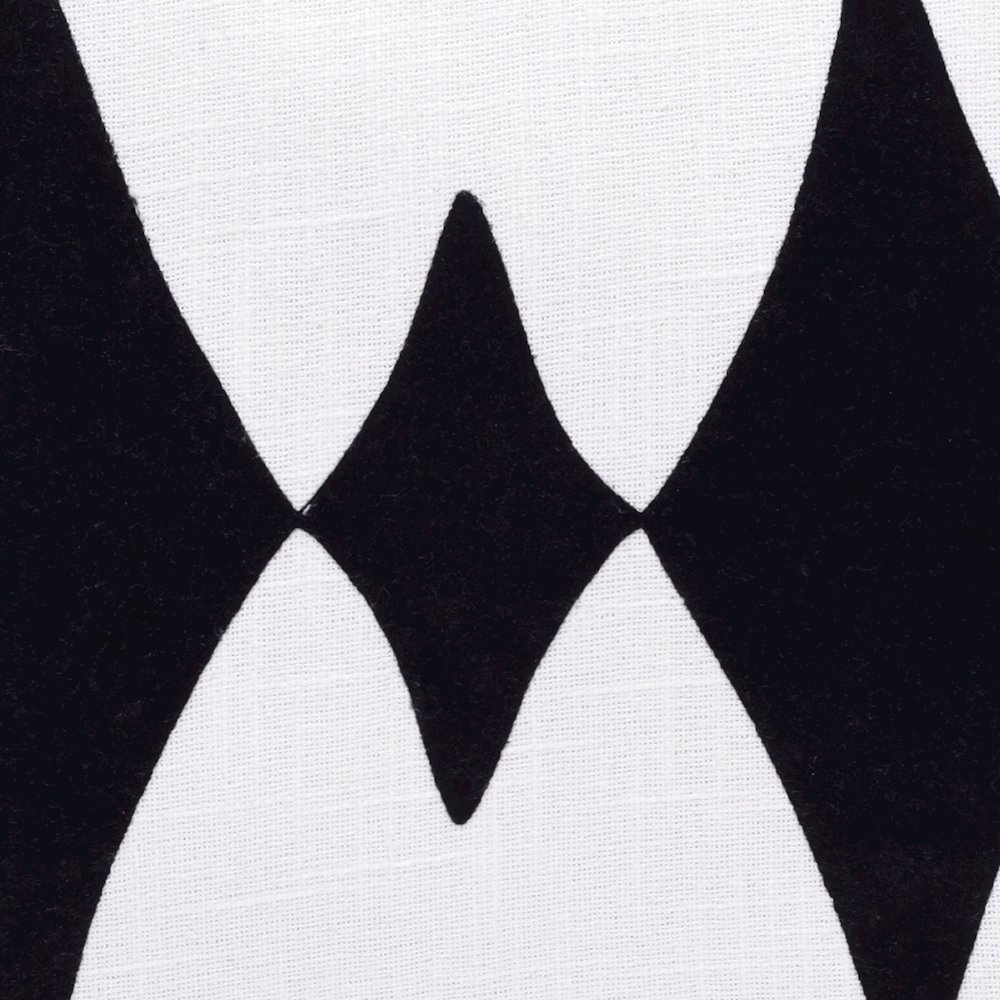 Stacy Garcia Cotton Blend Poly Filled Pillow in Black/White, 20" x 20". Picture 7