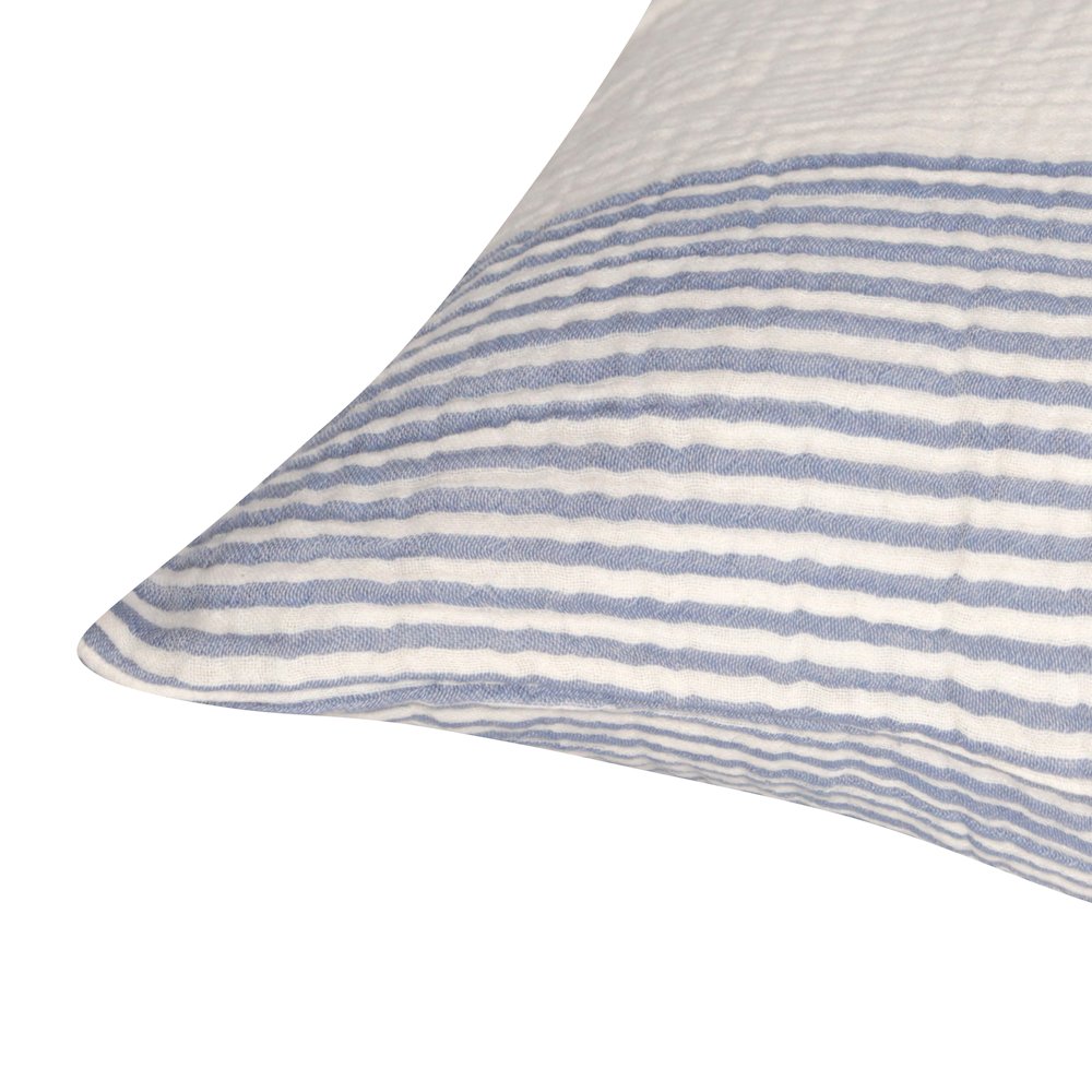 Siya Cotton Poly Filled Pillow in Blue/Ivory, 22" x 22". Picture 4