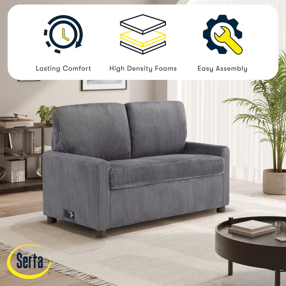 Drew Loveseat Pull-Out Sleeper Gray. Picture 3