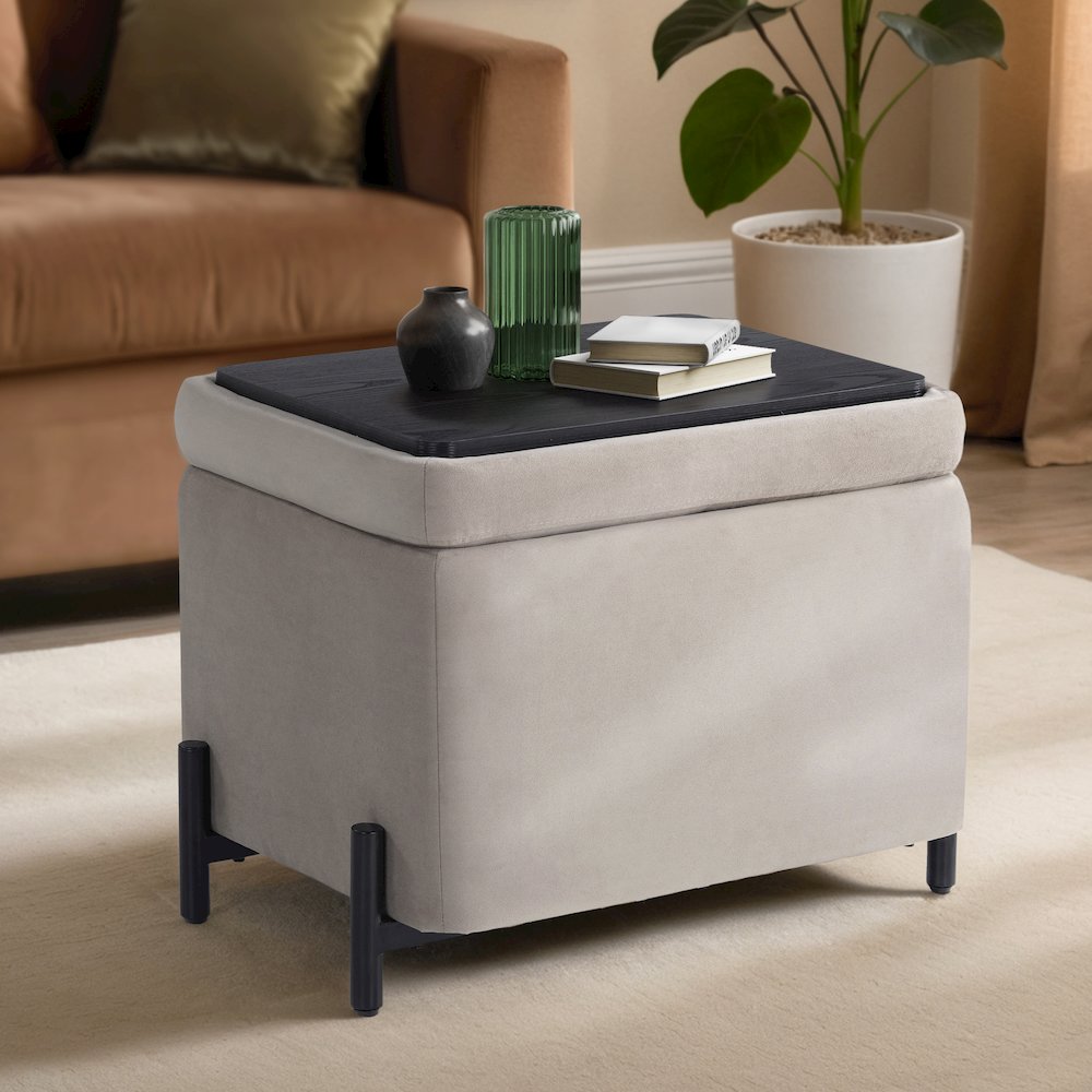 Kona Storage Ottoman Small Taupe. Picture 2