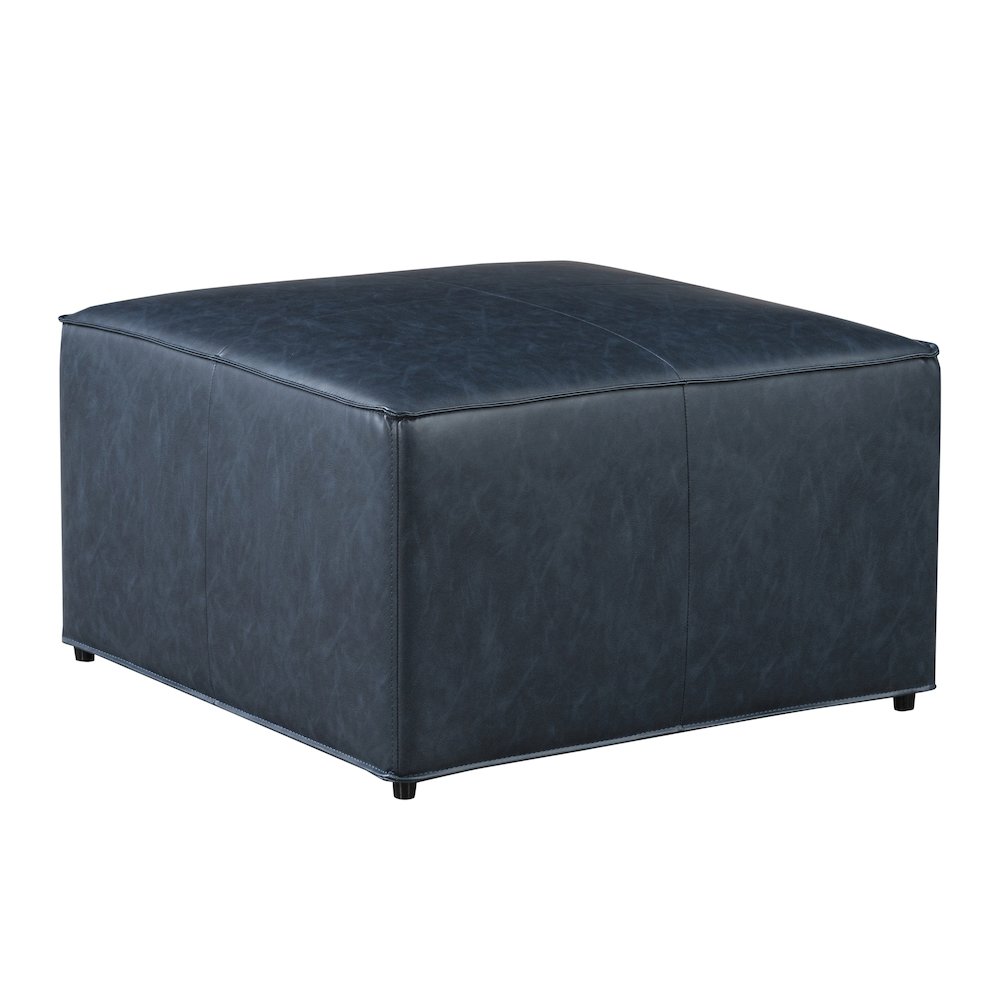 Hailey Storage Ottoman Navy. Picture 17