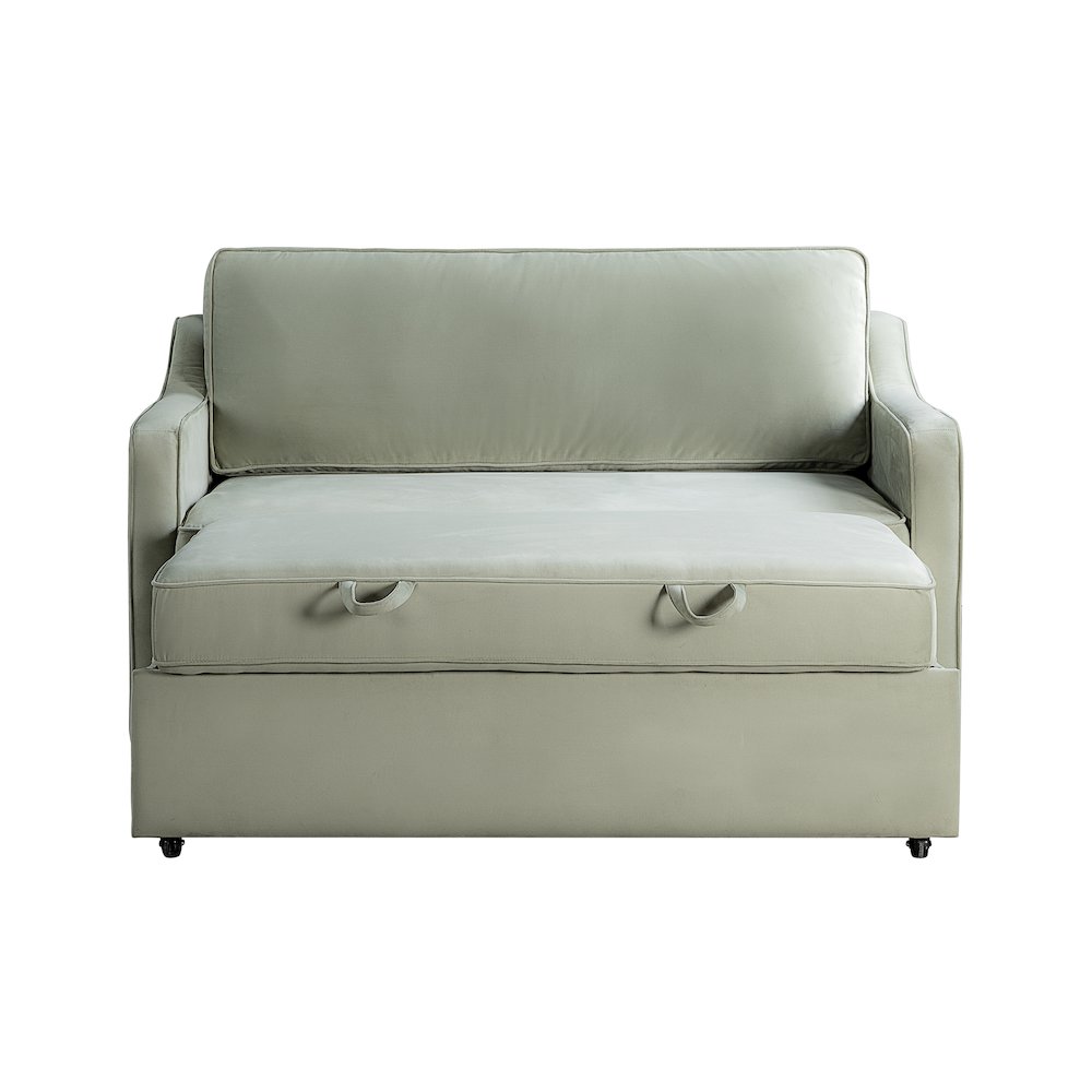 Delmar Convertible Loveseat Sage. Picture 5