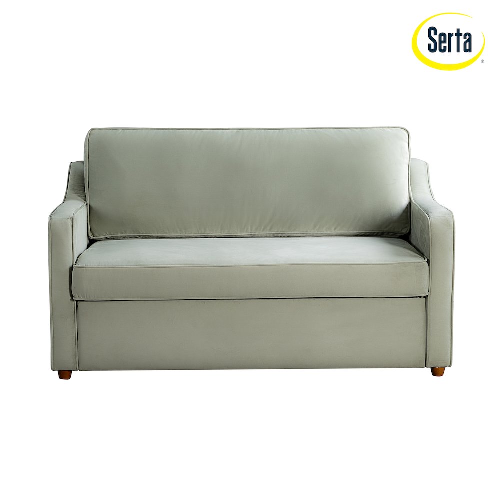Delmar Convertible Loveseat Sage. Picture 21