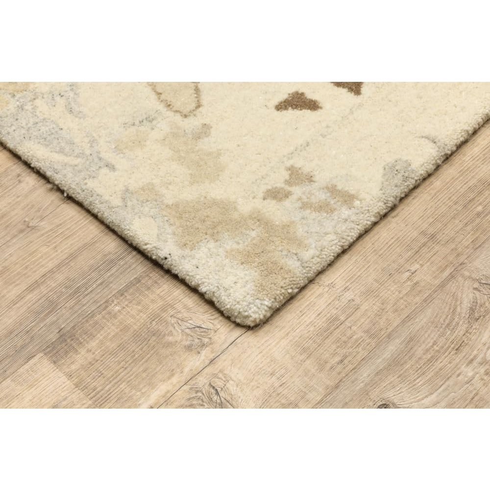 Anastasia 10X13 Size Contemporary Style Rug Beige Color. Picture 2