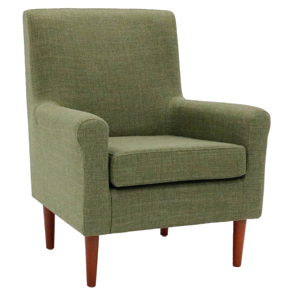 Ellis Lounge Chair  - Blake Moss. Picture 1
