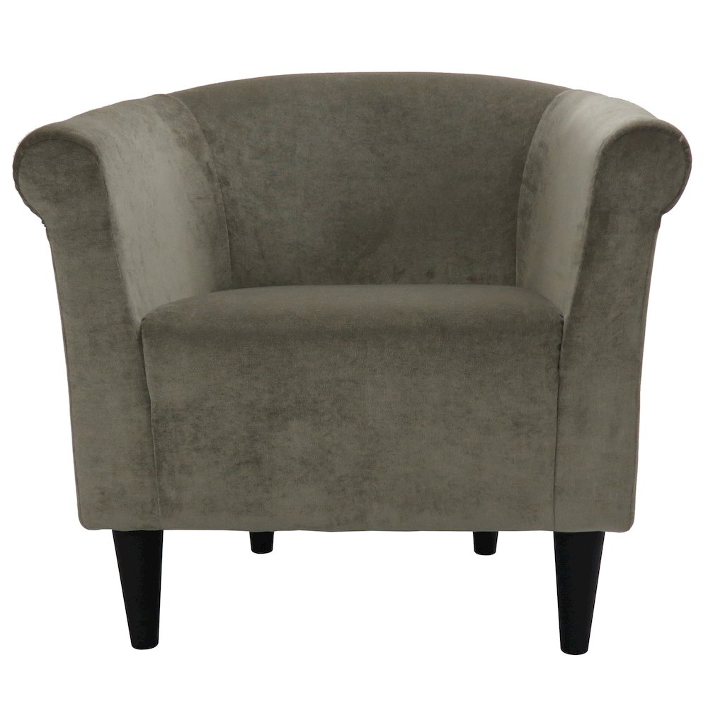 Savannah Club Chair - Elizabeth Platinum. Picture 4