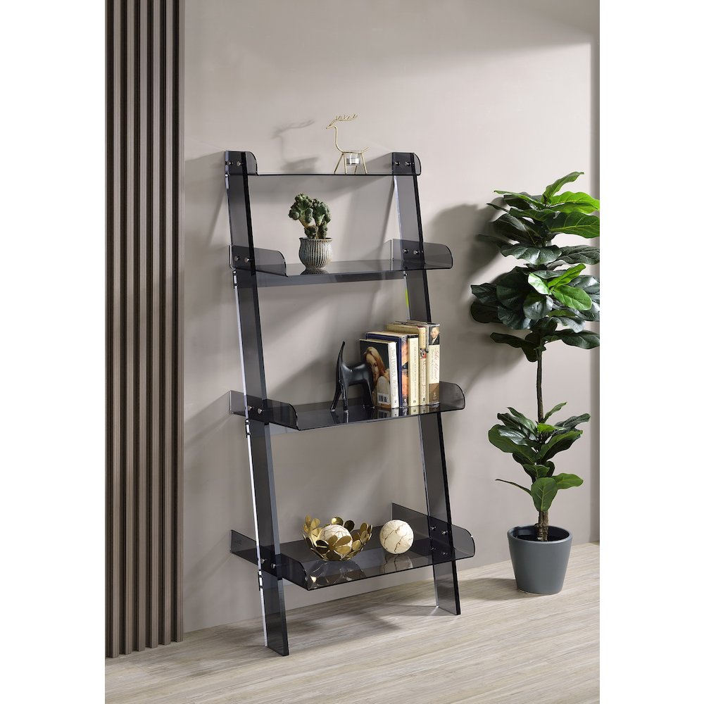 Black Smoked Lucite Acrylic 4-Tier Tall Modern Bookshelf. Picture 2