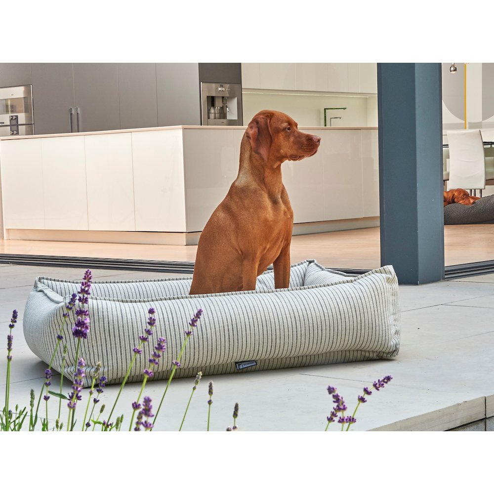 Urban Lounger Bed For Dogs in Ash Fabric Finish Size - SML. Picture 3