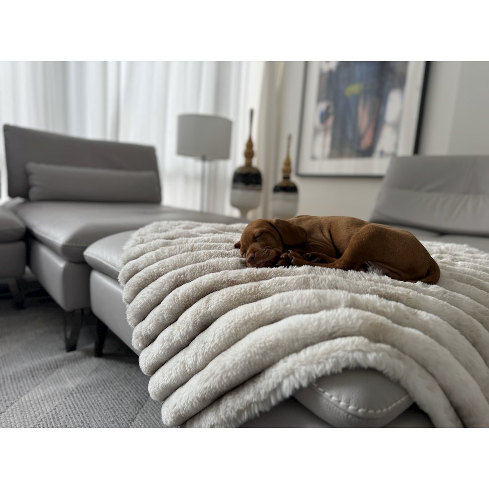 Blanket Topper For Dogs in Himalayan Fabric Finish Size - MED. Picture 3