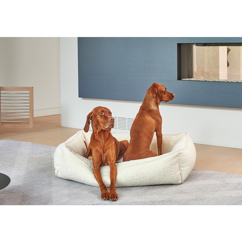Urban Lounger Bed For Dogs in Ash Fabric Finish Size - SML. Picture 5