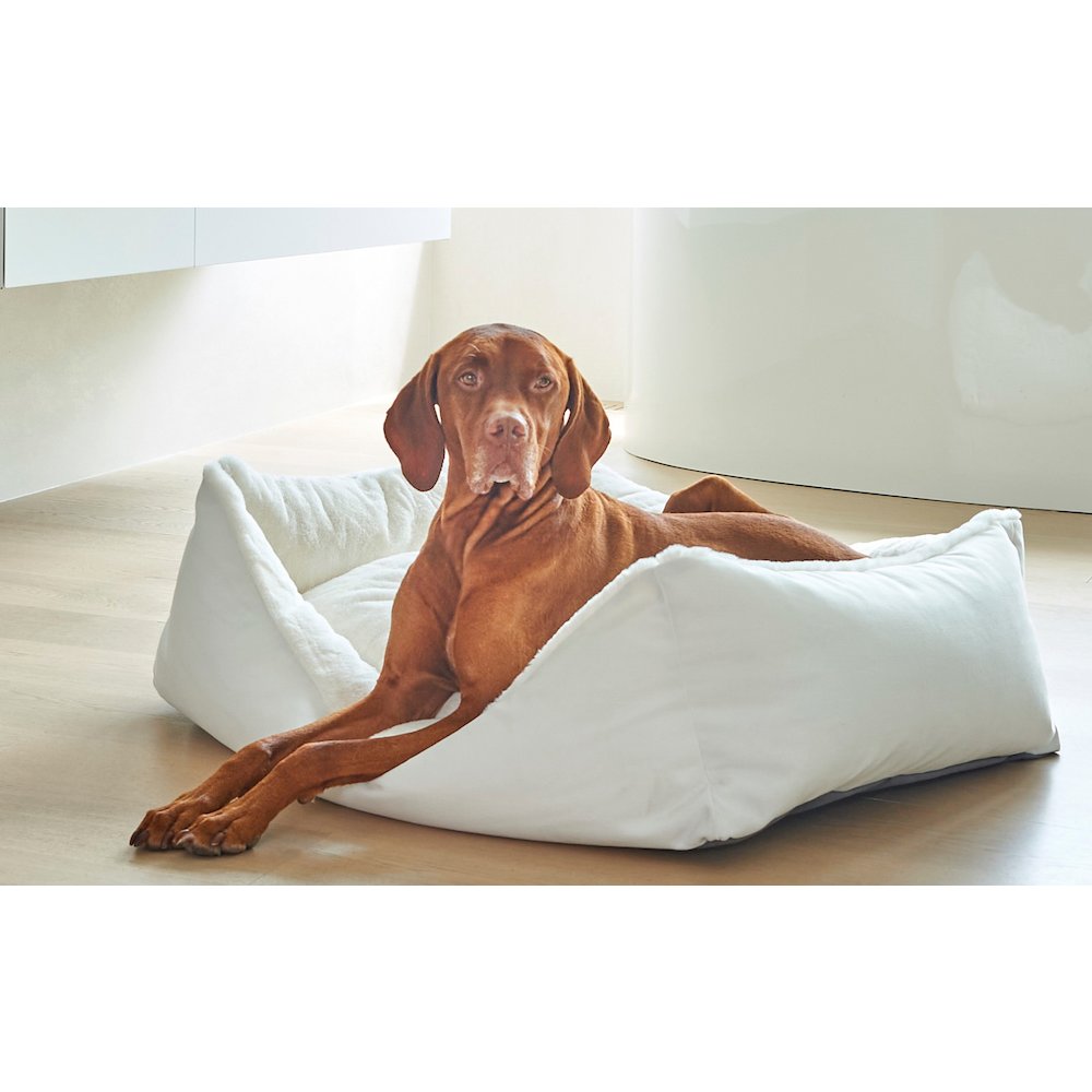 Scoop Bed For Dogs in Mayan Fabric Finish Size - SML. Picture 3