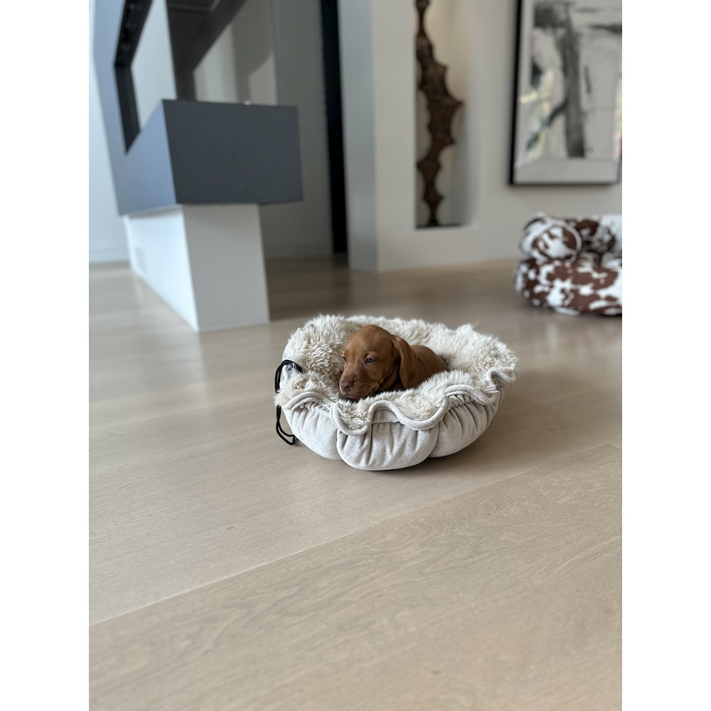 Buttercup Bed For Dogs in Blush Fabric Finish Size - SML (24"). Picture 4