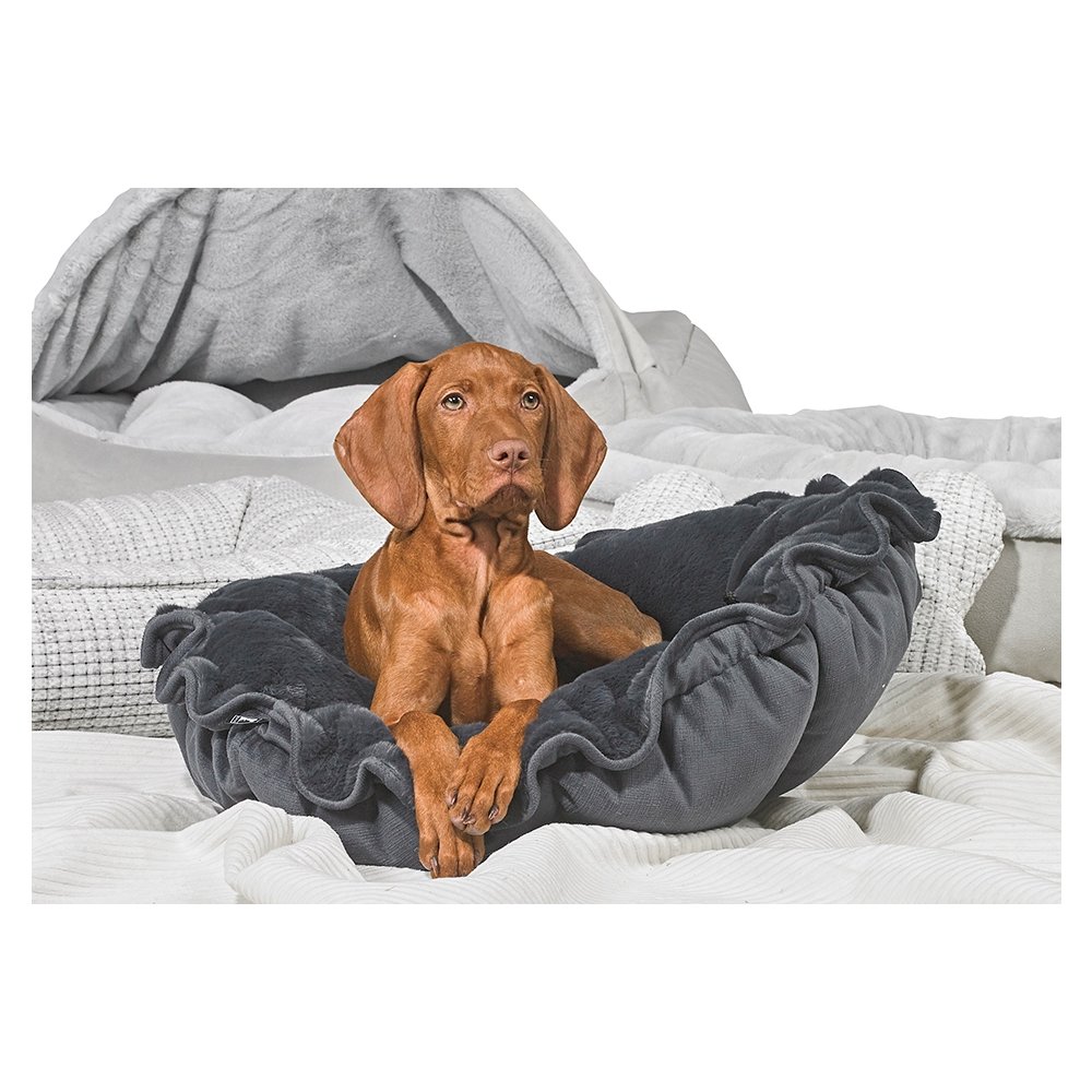 Buttercup Bed For Dogs in Blush Fabric Finish Size - SML (24"). Picture 3